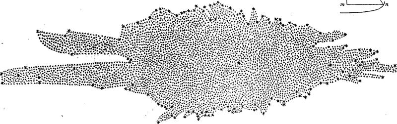 “On the construction of the heavens.” The shape of our Galaxy as deduced from star counts by William Herschel in 1785; drawn by Caroline Herschel. Read at the Royal Society, February 3, 1785. Image: Wikimedia Commons